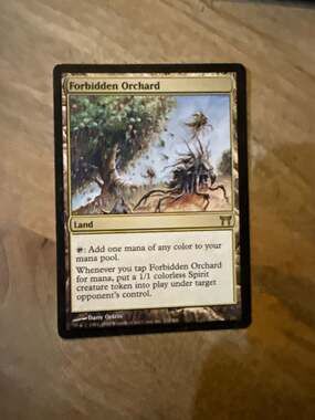 Forbidden Orchard - Champions of Kamigawa - Rare Land MTG